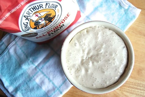 Bread Proofer, King Arthur Flour Recipes, Sourdough Pizza Crust, Sourdough Bread Starter, Sourdough Starter Recipes, Dough Starter, King Arthur Baking, Starter Recipe, Bread Starter