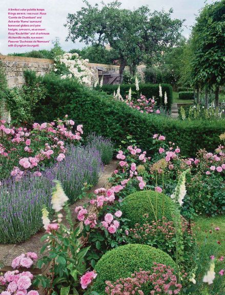 There's something romantic about pink roses and lavender. Boxwood Landscaping, Rose Garden Design, Garden Growing, Cottage Garden Design, English Cottage Garden, English Country Gardens, Have Inspiration, The Secret Garden, Lavender Roses