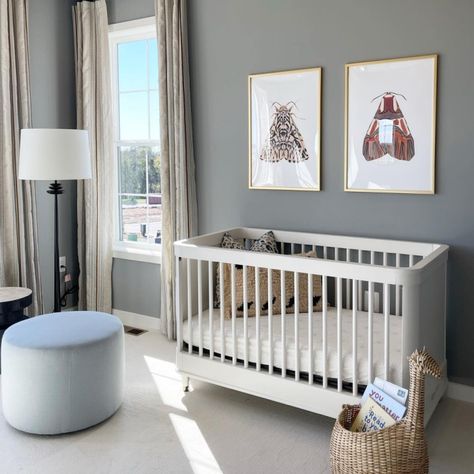 Alpaca SW 7022 | Neutral Paint Colors | Sherwin-Williams Dew Drop Sherwin Williams, Repose Gray Paint, Tile Paint Colours, French Grey Paint, Orange Paint Colors, Taupe Paint, Sherwin Williams Gray, Repose Gray, Agreeable Gray