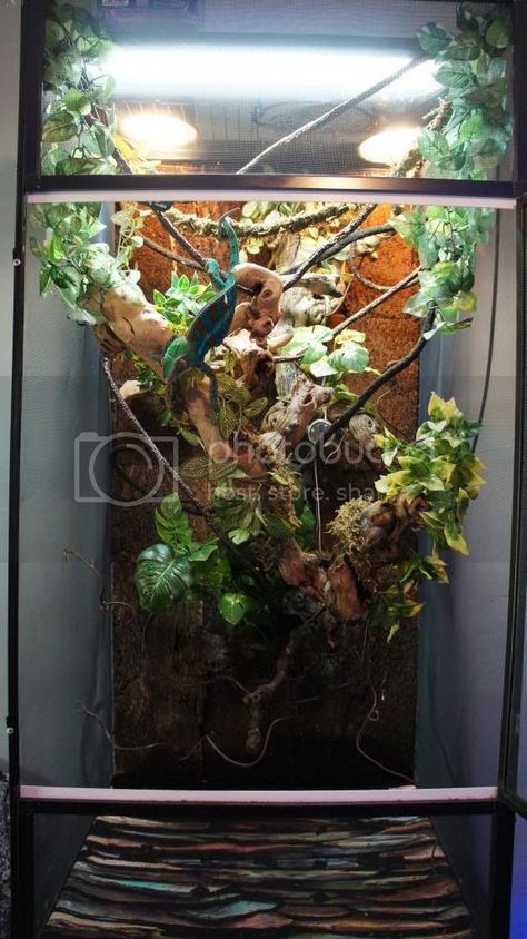 Diy Chameleon Enclosure, Chameleon Terrarium, Chameleon Enclosure, Chameleon Cage, Jackson Chameleon, Pet Room, Crested Geckos, Diy Screen, Reptile Enclosure