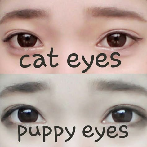 Puppy Dog Eye Makeup, Dog Eye Makeup, Puppy Eyes Makeup, Gyaru Makeup, Makeup Tuts, Cute Eye Makeup, Doll Eye Makeup, Kawaii Makeup, Japanese Makeup