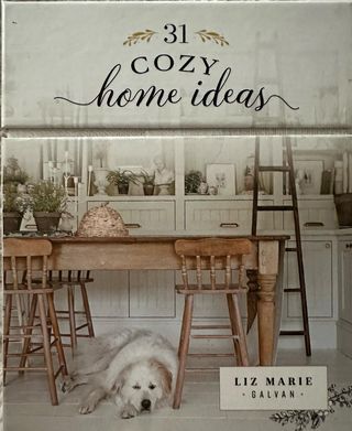 @janishamling Instagram profile, stories - Picnob Interior Design Card, Cozy Decorating Ideas, Liz Marie Galvan, Cottage Style Living Room, Practical Housewarming Gifts, Cozy White Cottage, Cozy Home Ideas, Liz Marie, Budget Friendly Diy