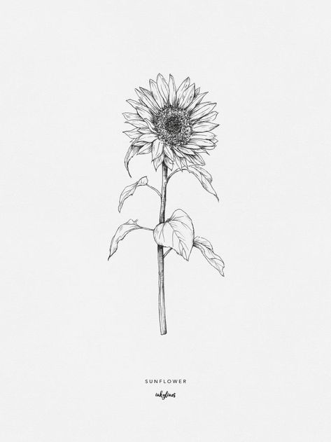 Sunflower Illustration, Sunflower Drawing, Couple Drawing, Drawing Eyes, Disney Tattoo, Sunflower Tattoos, Drawing Faces, White Drawing, Sunflower Tattoo Design