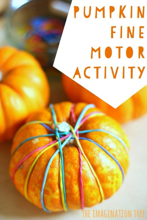 Pumpkins and rubber bands fine motor skills activity for Fall! So simple and smart! Pumpkin Lessons, Fine Motor Skills Activity, Pumpkins Preschool, Motor Skills Activity, Preschool Fine Motor Activities, Imagination Tree, October Activities, Fine Motor Activity, Fall Preschool Activities