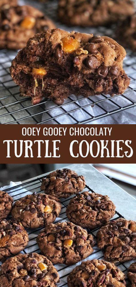 Cookies With Caramel Chips, Salted Caramel Chocolate Pecan Cookies, Chocolate Turtle Pecan Clusters, Caramel Turtle Cookies, Chocolate Pecan Turtle Clusters Recipe, Chocolate Pecan Turtle Clusters Candy Recipes, Pecan Caramel Chocolate Turtles, Turtle Cookies Recipe, Turtles Candy