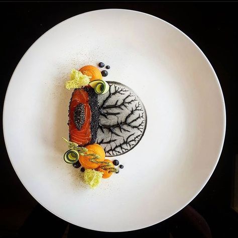 GastronomyLovers on Instagram: “Saumon Gravlax / Sésame noir . . 📸: @vincent.angebault . . Follow @gastronomyloveer for daily content 🍛🥘🍱 . . Follow @gastronomyloveer…” Salmon Sesame, Fine Dining Plating, Food Presentation Plates, Gourmet Food Plating, Food Plating Techniques, Plate Presentation, Fine Dining Recipes, Food Gallery, Molecular Gastronomy