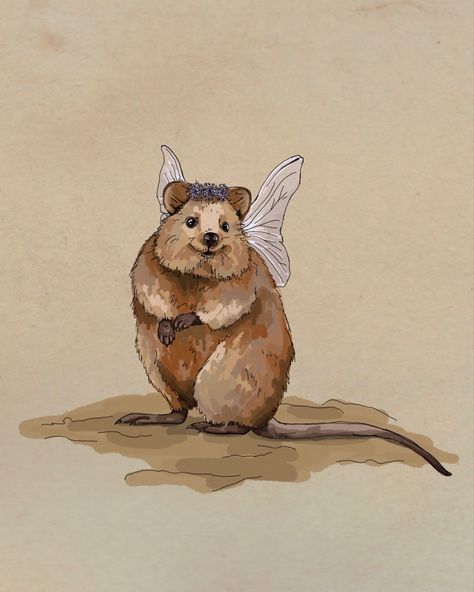 Quokka Drawing, Fae Wings, Illustration Series, Art Collage Wall, Animal Illustration, Wall Collage, Collage Art, Top Artists, Animal Art