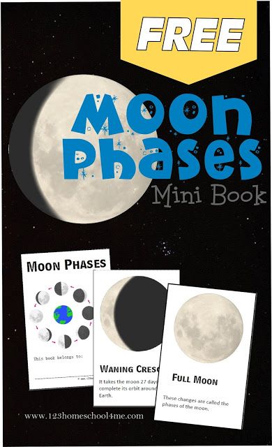 Moon Phases - FREE printable mini book to help kids learn about the different moon phases. Great for an astronomy unit, using a telescope, or as a pocket guide to take while camping for a summer activity for kids. Great for homeschoolers and parents with kids Preschool, Kindergarten = 6th grade. Different Moon Phases, Moon Phases Activities, Homeschool Astronomy, Moon For Kids, Moon Activities, Ocean Tides, Space Unit, Mini Puzzle, 1st Grade Science