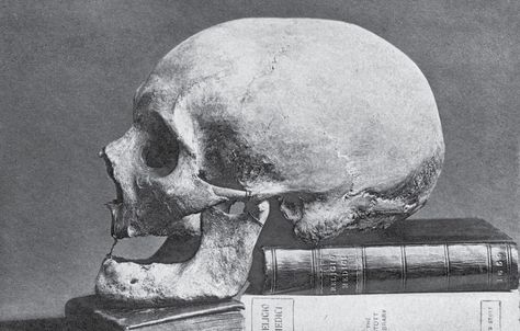 The skull of Sir Thomas Browne resting on two volumes of Religio Medici. The photograph, which appeared as the frontispiece to the 1904 edition of The Works of Sir Thomas Browne, was probably taken by Charles Williams of Norwich Hospital, around 1900. Thomas Browne, Halloween Photos, The Skull, Art Historian, Skull And Bones, Old Art, Antonio Mora Artwork, History, Books