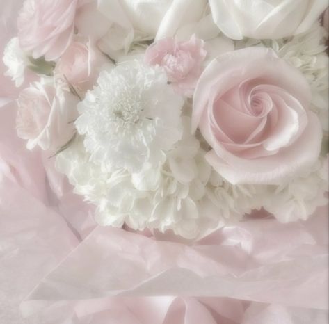 Flowers Coquette, Soft Pink Theme, Ribbon Bouquet, Flower Icons, Light Pink Flowers, Pink And White Flowers, Pink Vibes, Romantic Flowers, Winter Flowers