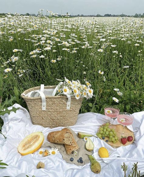 Cottagecore Picnic, Picnic Inspiration, Garden Picnic, Vintage Picnic, Daisy Field, Picnic Date, Cottage Core Aesthetic, Cottagecore Aesthetic, Spring Aesthetic