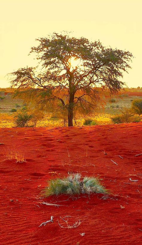 Kalahari Desert, Namib Desert, Road Trip Planner, Reference Pics, Guest Houses, Natural Disaster, Red Sunset, Trip Planner, Sky Pictures