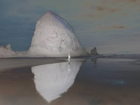 Richard Misrach, Between Two Worlds, Fine Photography, Pics Art, Avatar The Last Airbender, The Last Airbender, Photography Inspo, New Yorker, Surrealism