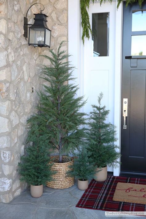 Porch Christmas Tree, Winter Porch, Christmas Planters, Front Porch Christmas Decor Ideas, Porch Christmas Decor, Front Porch Christmas, Christmas Tours, Christmas Front Porch, Christmas Front Doors