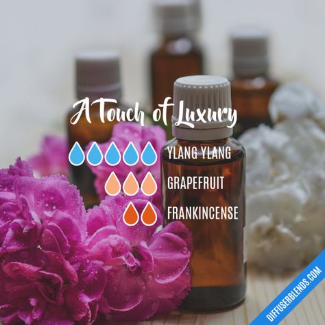 A Touch of Luxury - Essential Oil Diffuser Blend Spa Essential Oils, Perfume Notes, Homemade Spa, Essential Oil Combinations, Essential Oil Diffuser Blends Recipes, Essential Oil Diffuser Recipes, Oil Diffuser Recipes, Essential Oil Mixes, Essential Oil Blends Recipes