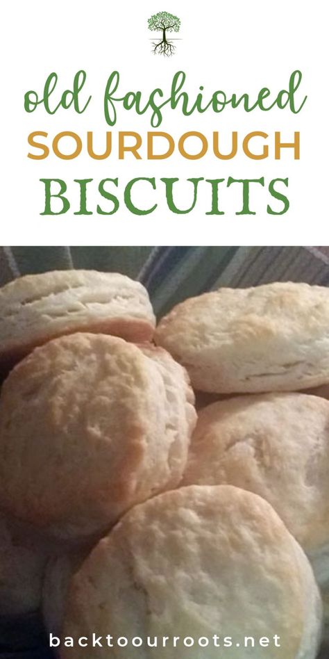 Sourdough Biscuit, Sourdough Breads, Sourdough Biscuits, Dough Starter, Friendship Bread, Bread Sourdough, Sourdough Starter Discard Recipe, Discard Recipes, Bread Starter