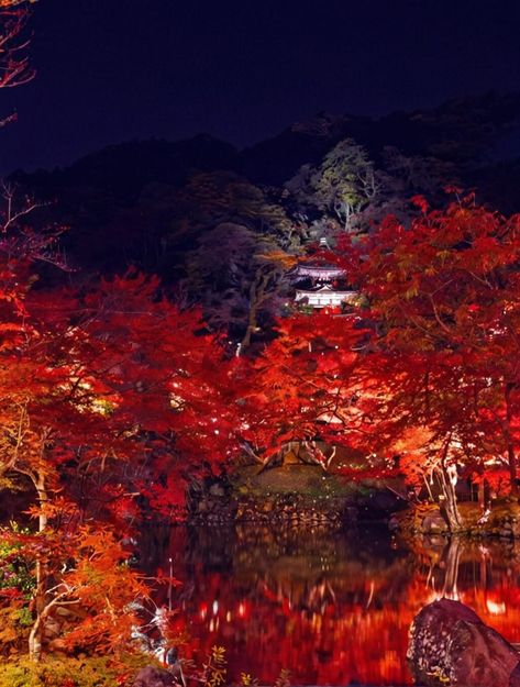 10 Best Places To Visit In Japan In November For Unforgettable Autumn Views Japan In November, Places To Visit In Japan, Japan November, Japan Nature, Okayama Japan, Visiting Japan, Birds Photography Nature, Birds Photography, Japan Tour