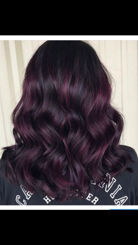 Dark Purple Hair Color Ideas For Brunettes, Eggplant Hair Color With Highlights, Plum Ombre Hair, Burgundy Hair Plum Purple, Purple And Burgundy Hair, Eggplant Hair Color Dark, Plum Highlights On Dark Hair, Plum Balayage Hair, Blackberry Hair Color Dark