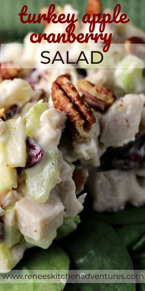 Turkey Salad Sandwich, Bread Turkey, Apple Cranberry Salad, Salad With Pecans, Turkey Salad Recipe, Turkey Apple, Silk Slippers, Takeout Recipes, Apple Turkey