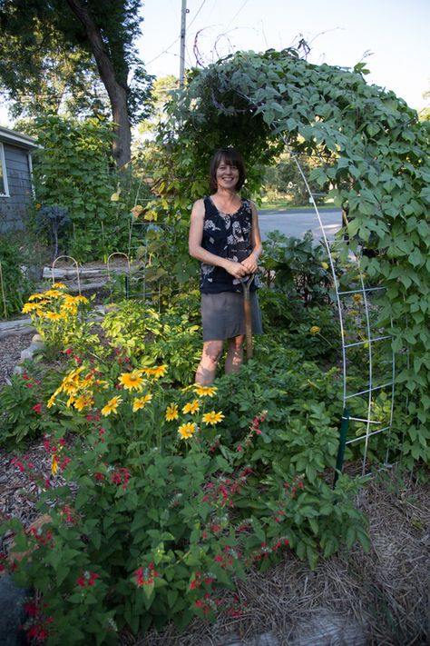 Creative Vegetable Gardener:Easy and Beautiful DIY Garden Trellis - Creative Vegetable Gardener Cattle Panel Trellis, Vegetable Trellis, Garden Archway, Pergola Diy, Diy Garden Trellis, Diy Trellis, Front Yard Garden, Diy Garden Projects, Garden Trellis