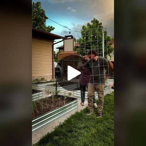 TikTok · mamanowwhat Diy Tomato Trellis, Cattle Fencing, Make A Trellis, Cattle Panel Trellis, Tomato Support, Fencing Panels, Tomato Trellis, Arbor Trellis, Cattle Panels