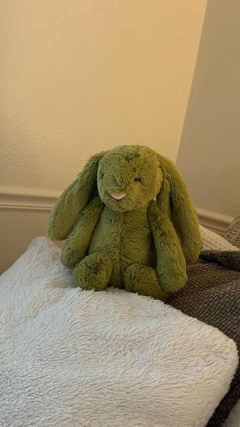 Green Aesthetic Stuffed Animal, Green Jellycat Bunny, Green Bunny, Jellycat Bunny, Green Core, Pink Girly Things, Green Aesthetic, New Room, Christmas List