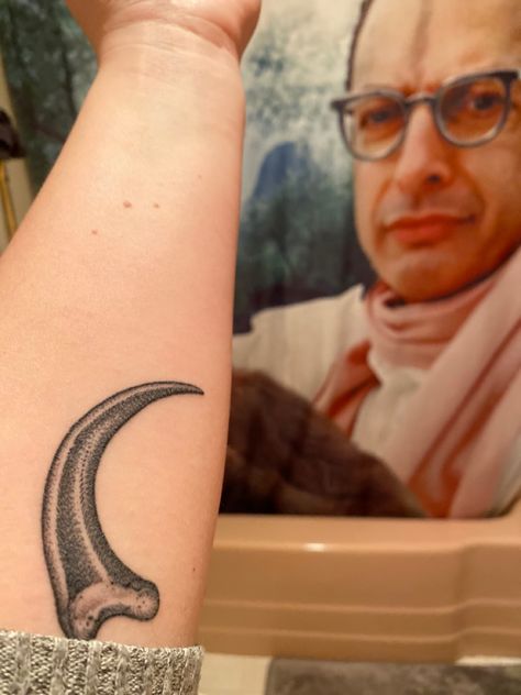 Jeff Goldblum Tattoo, Dinosaur Claw Tattoo, Velociraptor Skeleton Tattoo, Velociraptor Claw Tattoo, Teradactyl Tattoo, Life Finds A Way Tattoo, Raptor Claw Tattoo, Jurassic Park Tattoo Ideas, Carnotaurus Tattoo