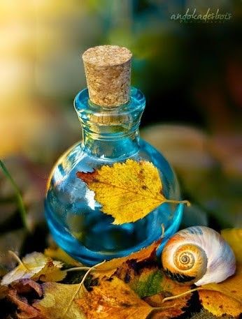 Liquid Luck, Image Nature, Potion Bottle, Medieval Fantasy, Bottle Art, Glass Bottle, Alice In Wonderland, Fall Colors, Color Splash