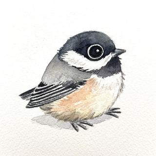 Heike Kuzminski (@heikekuzminski) • Instagram photos and videos Chickadee Bird Tattoo, Chickadee Illustration, Drawing A Bird, Chickadee Drawing, Chickadee Art, Bird Artists, Bird Crafts, Bird Artwork, German Art