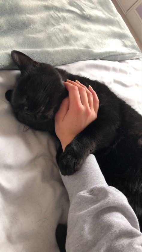 black cat hugging a hand Hug In Bed, Cat Comforting Human, Cat Snuggles, Black Cat Gf Aesthetic, Cat Cuddle Aesthetic, Cat Cuddling With Human, Black Cat Cuddles Human, Kitten Cuddle, Black Cat Sleeping