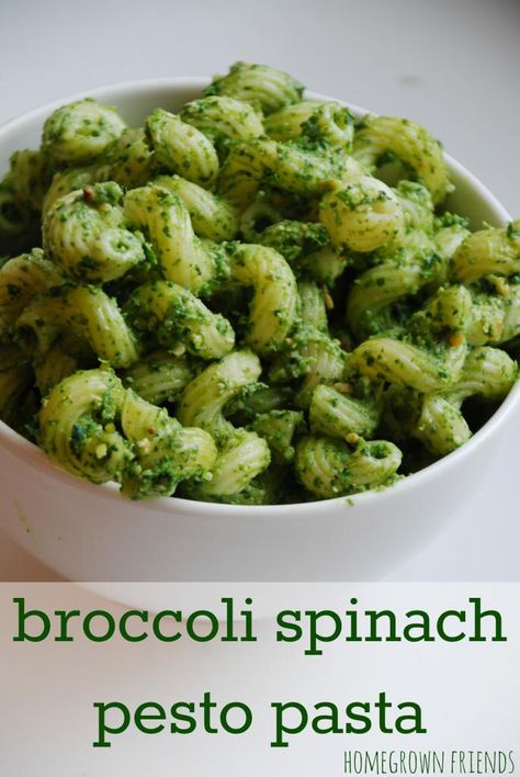 Broccoli Spinach Pesto Pasta  Delicious and so easy to make!  My 3 year old had FOUR helpings! (Homegrown Friends) St Patricks Food, Spinach Pesto Pasta, Broccoli Spinach, Toddler Foods, Spinach Pesto, Toddler Recipes, Irish Stew, Zucchini Chips, St Patricks Day Food