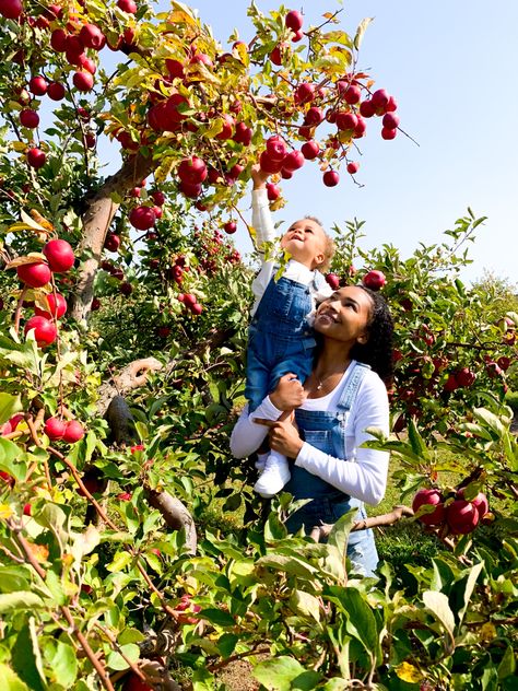 Kiara (mom) and Legend (son) wearing matching overalls standing in front of apple trees Legend sitting on moms shoulder reaching up picking apples Family Apple Picking Outfits, Family Photo Apple Orchard, Apple Picking Family Photos, Apple Farm Photoshoot, Apple Arch, Apple Orchard Photoshoot Family, Apple Picking Pictures, Orchard Photoshoot, Apple Picking Photos