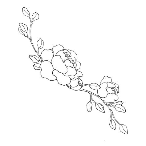 Flower Vine Tattoos, Digital Line Art, Peony Drawing, Line Art Digital, Branch Tattoo, Growing Peonies, Vine Tattoos, Flower Background Wallpaper, Flowering Vines