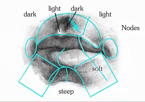 How To Draw Lips, Draw Lips, Teaching Drawing, Lip Drawing, 얼굴 드로잉, Drawing Tutorial Face, Human Anatomy Drawing, Art Basics, Human Anatomy Art
