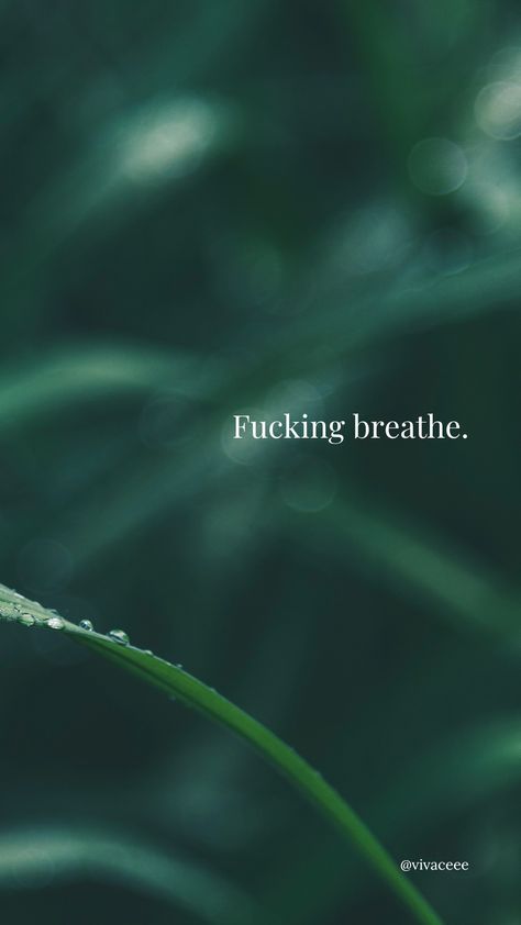 A green background with a blurred out green plant with water droplets with writing: "Fucking breathe." Breathe Phone Wallpaper, Breathe Wallpaper Iphone, Breath Wallpapers, Breathe Wallpaper Aesthetic, Breathing Aesthetic, Just Breathe Wallpaper, Breathe Aesthetic, Breathe Wallpaper, Green Wallpaper Aesthetic