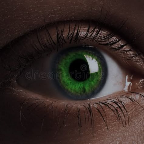 Vibrant Green Eyes, Heterochromia Eyes Blue And Green, Mal Aesthetic, Green Eyes Girl, Shark Puppy, Heterochromia Eyes, Jake English, Emerald Green Eyes, Dark Green Eyes