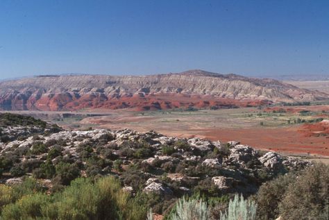 Red and white cliffs above the Bighorn River, Big Horn Canyon National Recreation Area. NPS photo. Winter Deserts, Deserts Of The World, Black Rock Desert, Desert Area, Great Basin, Desert Plants, Nature Images, The Desert, Wyoming