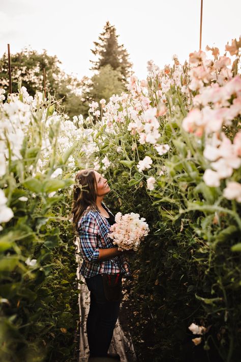 Growing Sweet Peas, Cut Flower Farm, Sweet Pea Seeds, Farmer Girl, Sweet Pea Flowers, Fall Bulbs, Flower Farmer, Cut Flower Garden, Sweet Peas