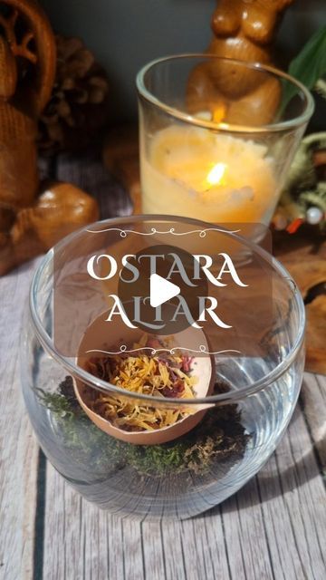 Witch & Wiccan on Instagram: "Have you started decorating for Ostara? I love small altars because they are perfect for small places or discreet practitioners while being cute and having a lot of symbolism! 

This altar incorporates many representations of the spring equinox (greenery, flowers, and seeds), as well as Ostara symbols that represent new beginnings (seeds, egg) 

Lidia💕💕
▬▬▬▬▬
EXPAND YOUR KNOWLEDGE AND SUPPORT MY WORK 

📚Get my books📚
✔️The Complete Grimoire
✔️The Path of the Witch
✔️The Untamed Witch 

Links in Bio!⁠
▬▬▬▬▬
Original post
Repost with credit
▬▬▬▬▬
Every witch is different; choose what works best for you.
▬▬▬▬▬
#intentions #witchcraft #wicca #coven #witchesofinstagram #wiccantips #pagan #paganism  #occult #wheeloftheyear #ostara" Spring Equinox, Small Places, Coven, New Beginnings, The Originals, Instagram