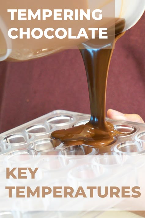 Tempering Chocolate Temperatures, Tempering Chocolate Chips, How To Flavor Chocolate, Tempering Chocolate Tutorials, Temper Chocolate How To, Gourmet Dessert Recipes, Modeling Chocolate Recipes, Homemade Milk Chocolate, Tempering Chocolate