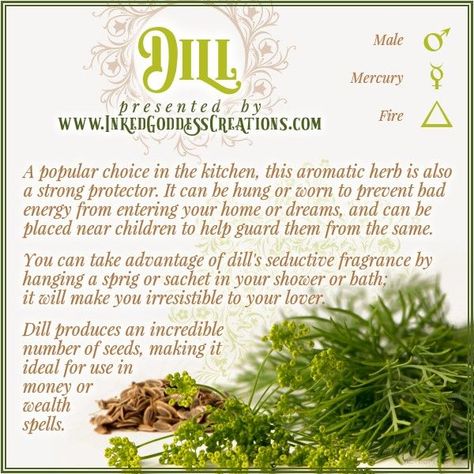 Dill In Witchcraft, Witches Herbs, Plant Magick, Herbal Properties, Magickal Herbs, Witch Herbs, Green Witchcraft, Pickling Spice, Magic Herbs