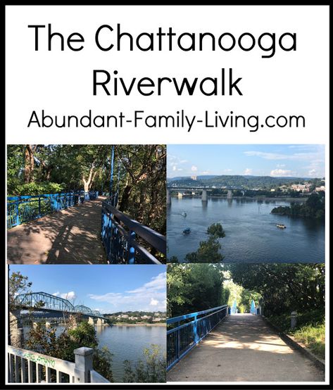 Chattanooga Riverwalk, Southern Tennessee, Tennessee Living, Tennessee River, Chattanooga Tennessee, River Walk, River Cruises, Family Living, Wisconsin