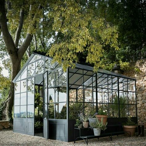 Genevieve Gorder, Outdoor Greenhouse, Citrus Plant, Home Greenhouse, Small Courtyards, Garden Greenhouse, Garden Buildings, Cactus Y Suculentas, Green Life