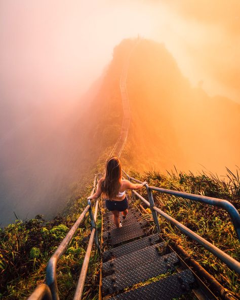 Stairway To Heaven Hawaii, Hawaii Luau, Aesthetic Picture, Free Vacations, Stairway To Heaven, On The Road Again, Oahu Hawaii, To Heaven, Travel Insurance