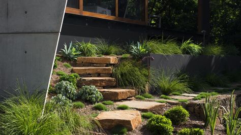 Hill Landscaping, Bush Garden, Garden Stairs, Australian Garden, Garden Steps, Secret Gardens, Garden Architecture, Outdoor Garden Decor, Landscape Architects