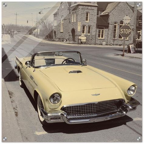 VINTAGE CARS Vintage Cars Aesthetic, Ford Thunderbird 1955, 40s Cars, Thunderbird Car, Old Sports Cars, 50s Cars, Auto Vintage, Old Vintage Cars, Ford Mustang Convertible