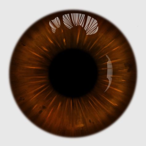 Brown Eyes Drawing, Lens Illustration, Eye Pupil, Eye Retina, Iris Eye, Eye Texture, Eyeball Art, Free Photo Filters, Eyes Artwork