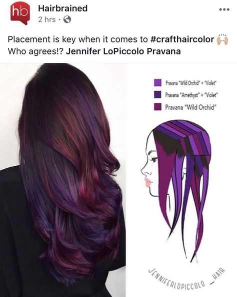 Wild Orchid Hair Color, Halle Hair, Purple Balayage, Sunset Hair, Hair Color Techniques, Hair Color Purple, Wild Orchid, Hair Dye Colors, Hair Painting