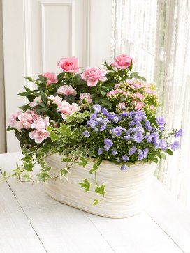 Oval Basket, Porch Flowers, Container Garden Design, Container Gardening Flowers, Flower Pots Outdoor, Roses Pink, Garden Containers, Planting Roses, Flowering Plants