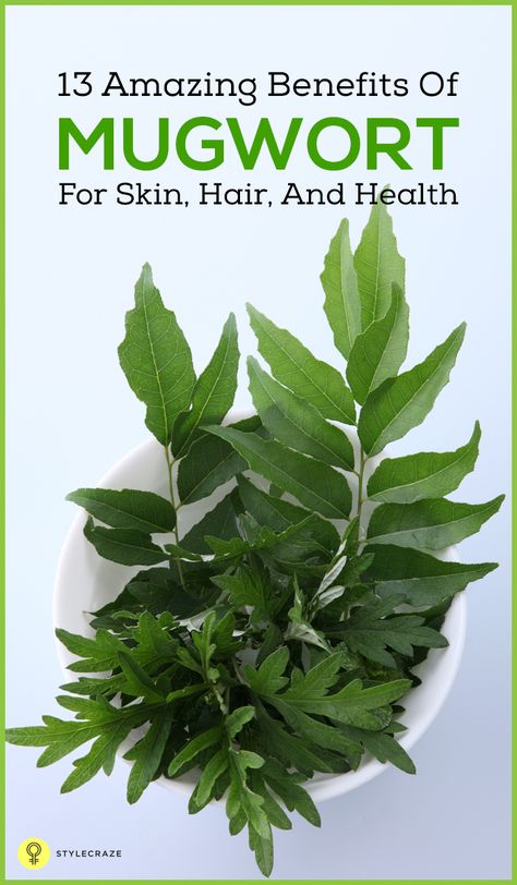 Benefits Of Mugwort, Mugwort Tea, Medicinal Herbs Remedies, Mugwort Herb, Medicinal Oils, Holistic Recipes, Tea Health Benefits, Food Medicine, Menstrual Pain